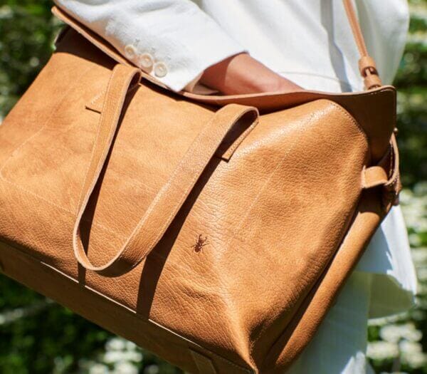 cv_dschember_hellbraun_01 | Cervo Volante