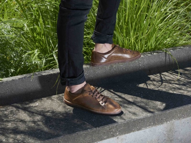 cervo-volante_200527 9 web cervo-volante_200527 9 web