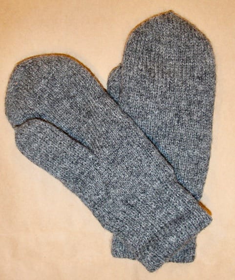 IMG_1829 | Cervo Volante