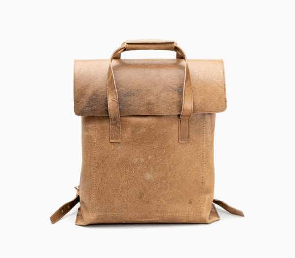 ezgif.com-gif-maker (2) | Cervo Volante