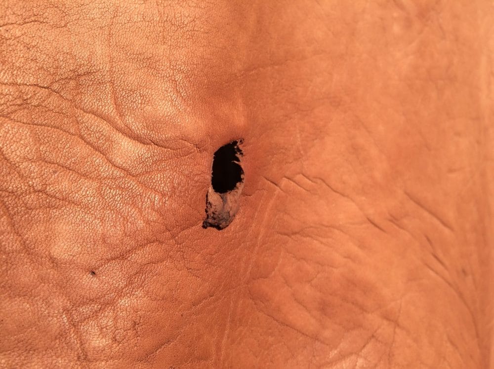 Cervo Leather_shothole