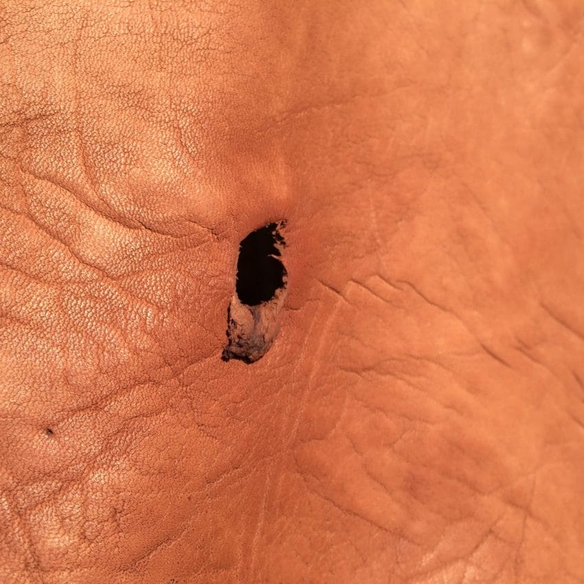 Cervo Leather_shothole