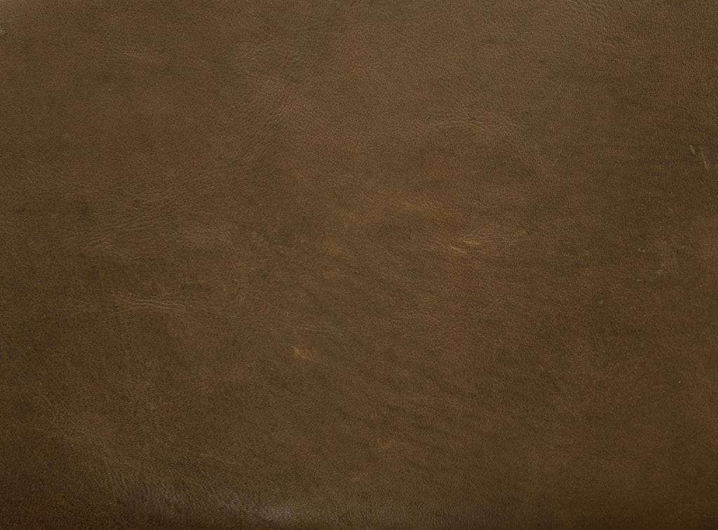 LCW Special_4 | Cervo Volante