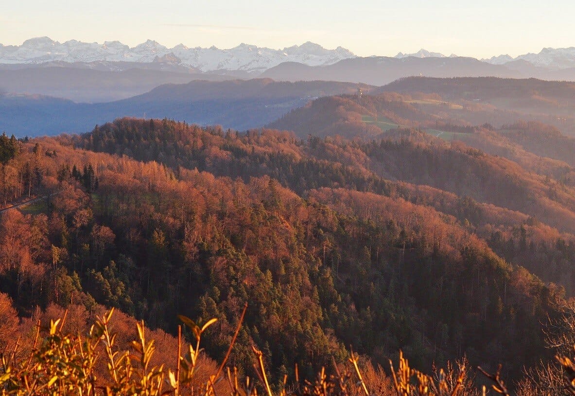 Blick vom Hausberg Uetliberg, Zürich über die Albiskette bis zu den Schweizer Alpen im Herbst | Cervo Volante