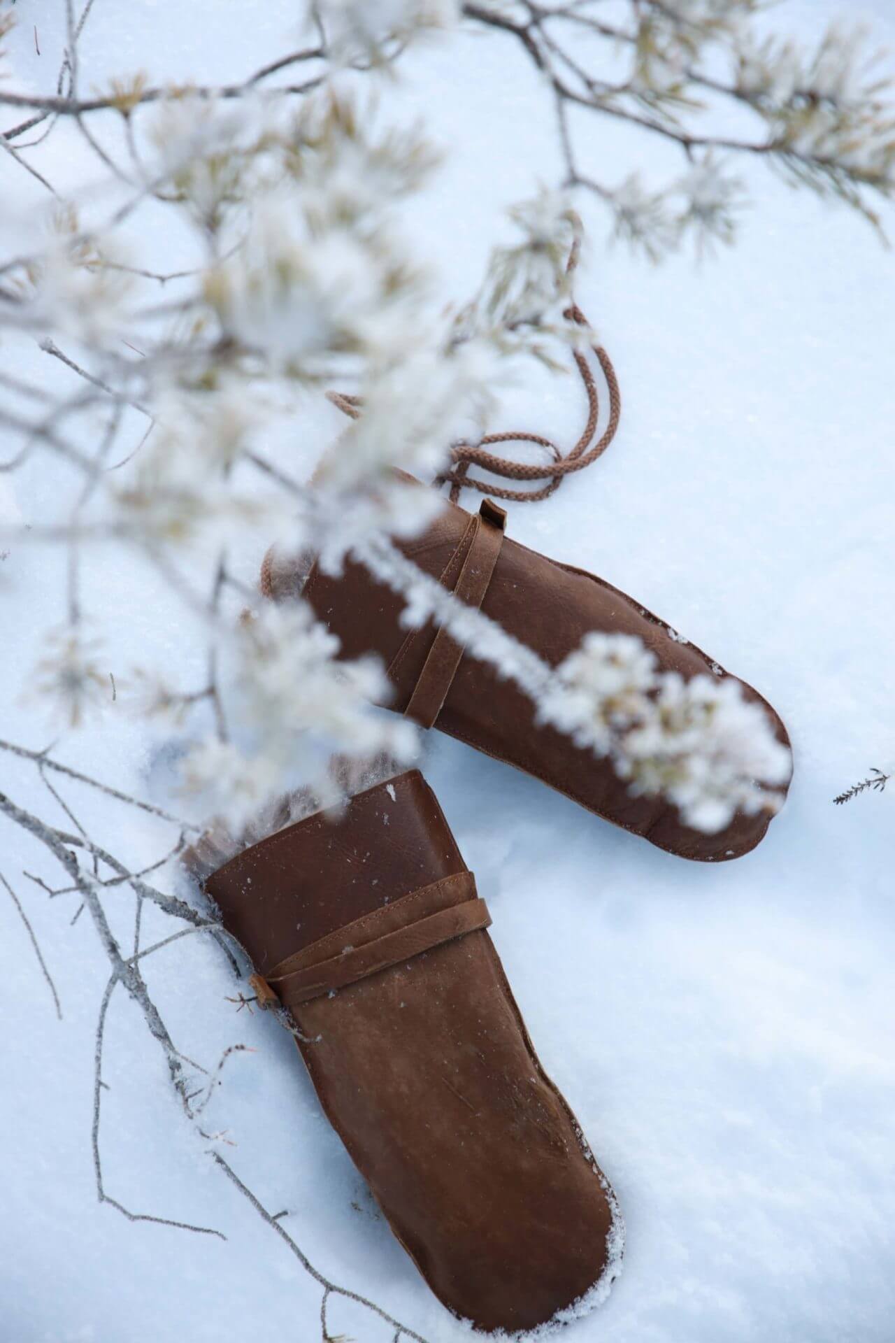 VULP 007WILD_WEB | Cervo Volante