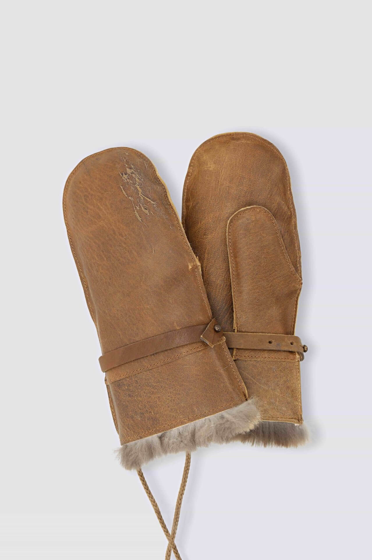 VULP_0004 WEB | Cervo Volante