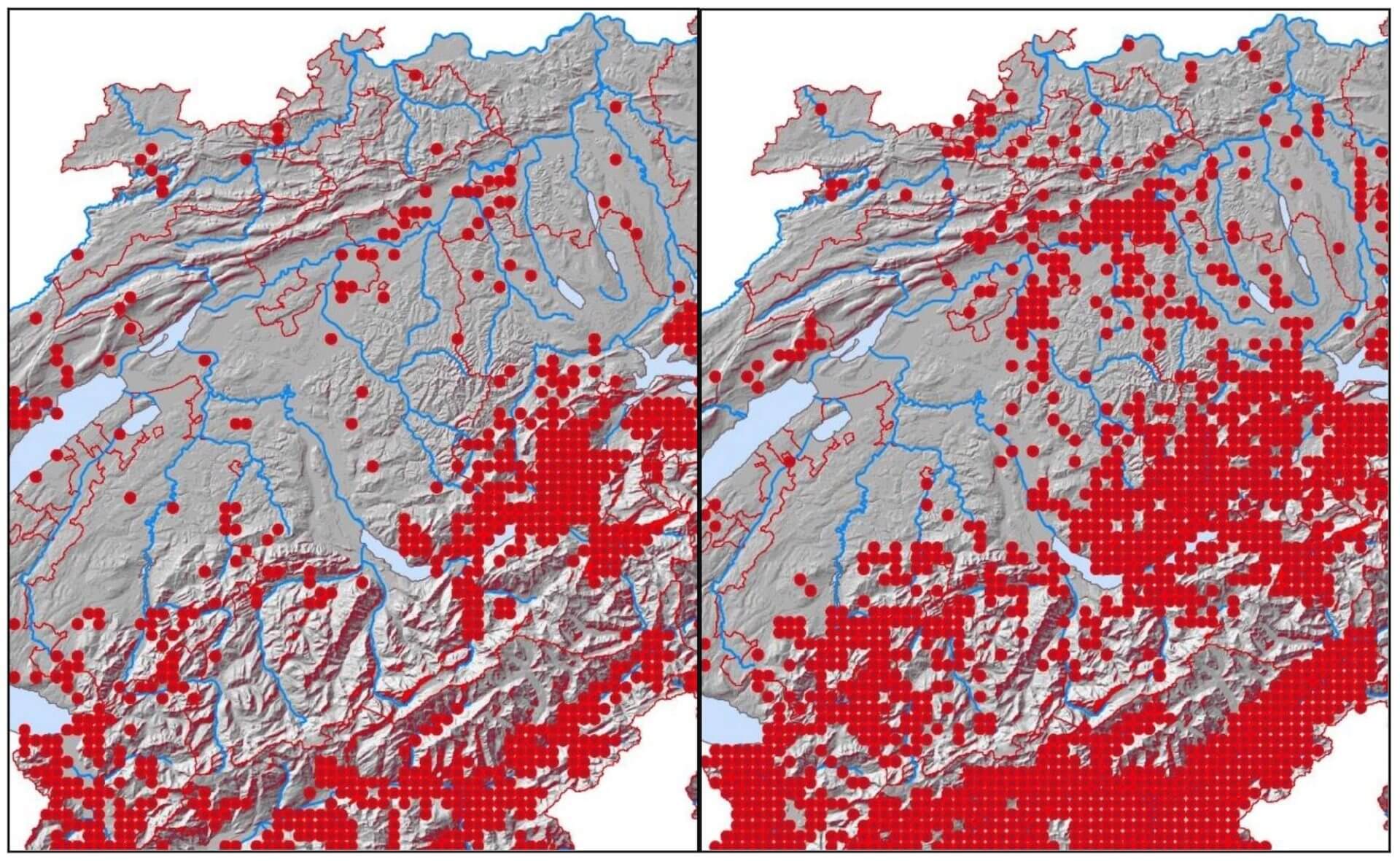 verbreitung | Cervo Volante