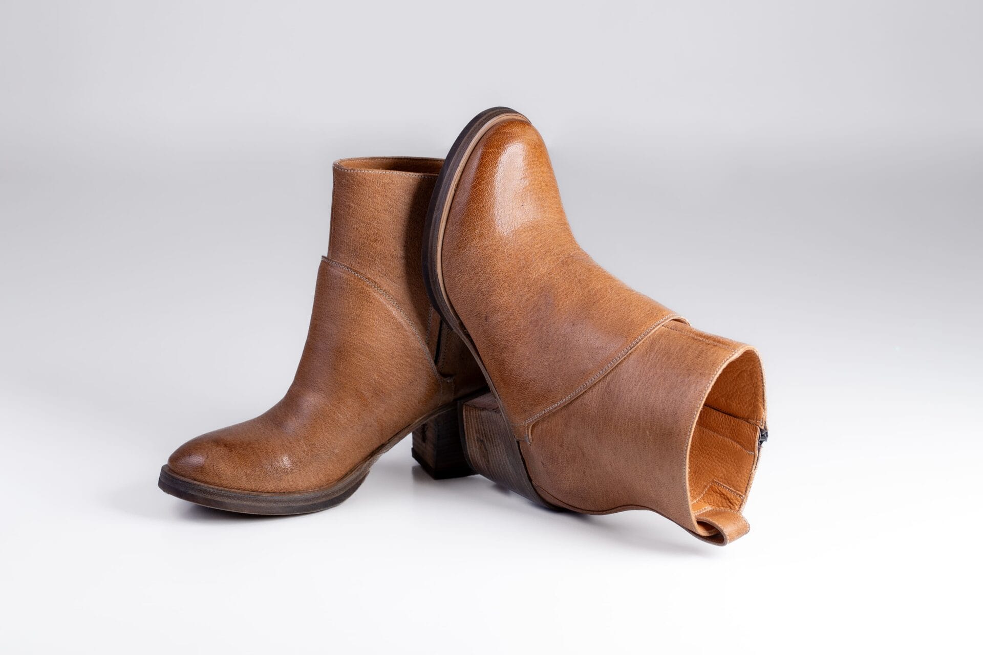 3P6A1736-Edit | Cervo Volante